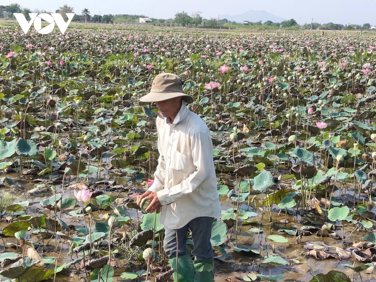 Ong Nguyễn Kế Lộc