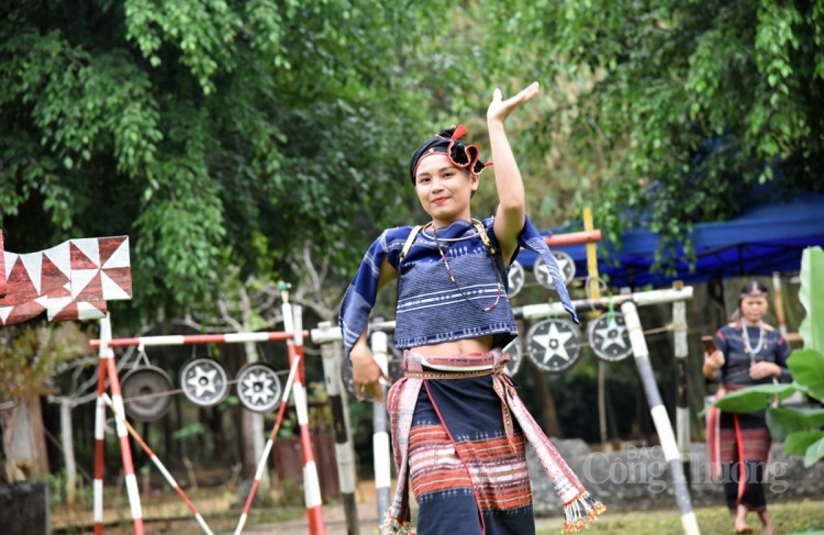 
Rùp ai bơh tàm internet