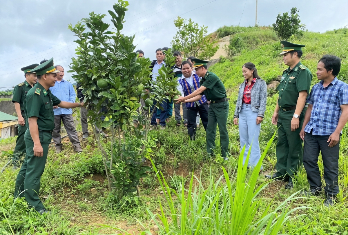 Bà con Hùng Sơn từng bước chuyển đổi cây trồng mang lại hiệu quả 