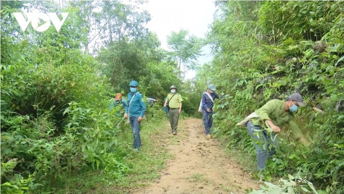 Các lực lượng tích cực tuần tra, kiểm soát bảo vệ rừng