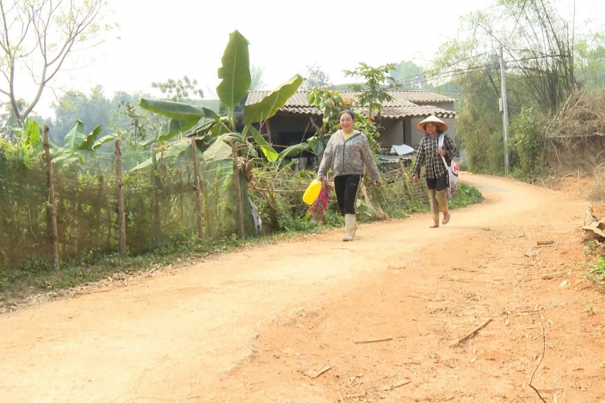 Giao thông nông thôn ở Tân Uyên đang từng bước được cải thiện