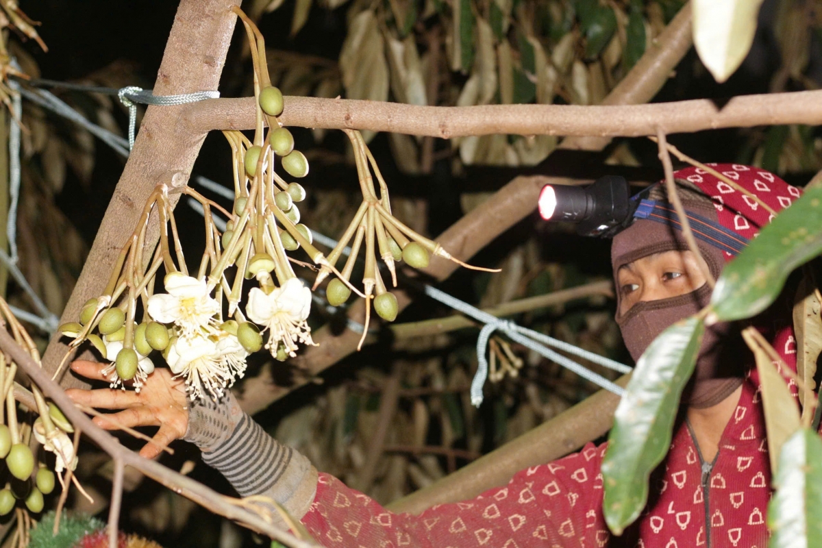 Trôk nar duh pang hô ƀon lan an rgâl mât chăm mir tơm tăm
 