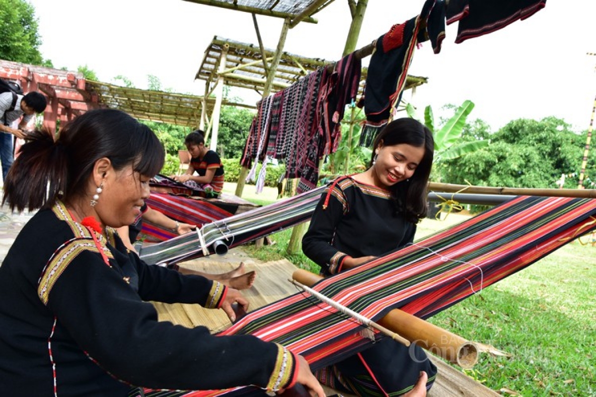 Rùp ai bơh tàm internet