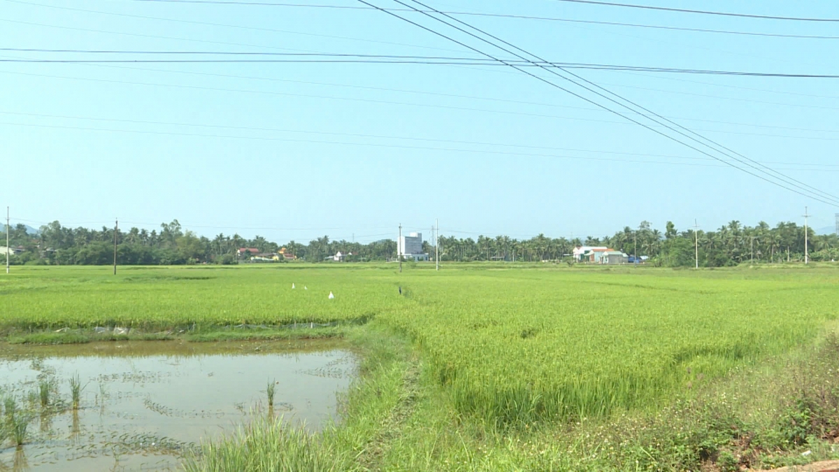 
Hơgăt teh jang sa găh lơ̆m iŏk tơvih vă iung jang tơdrong vă jang.