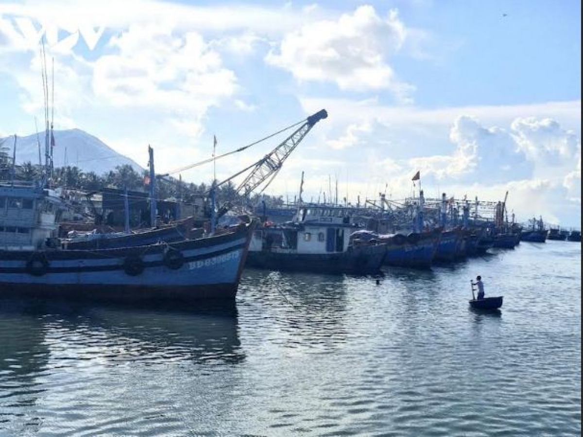 Tơdơi kơ ruh hĭ 424 boh ƀat tô akan ƀu dưi mă bruă, tơring čar Gia Lai pơplih glăi grup ƀattô klă hloh