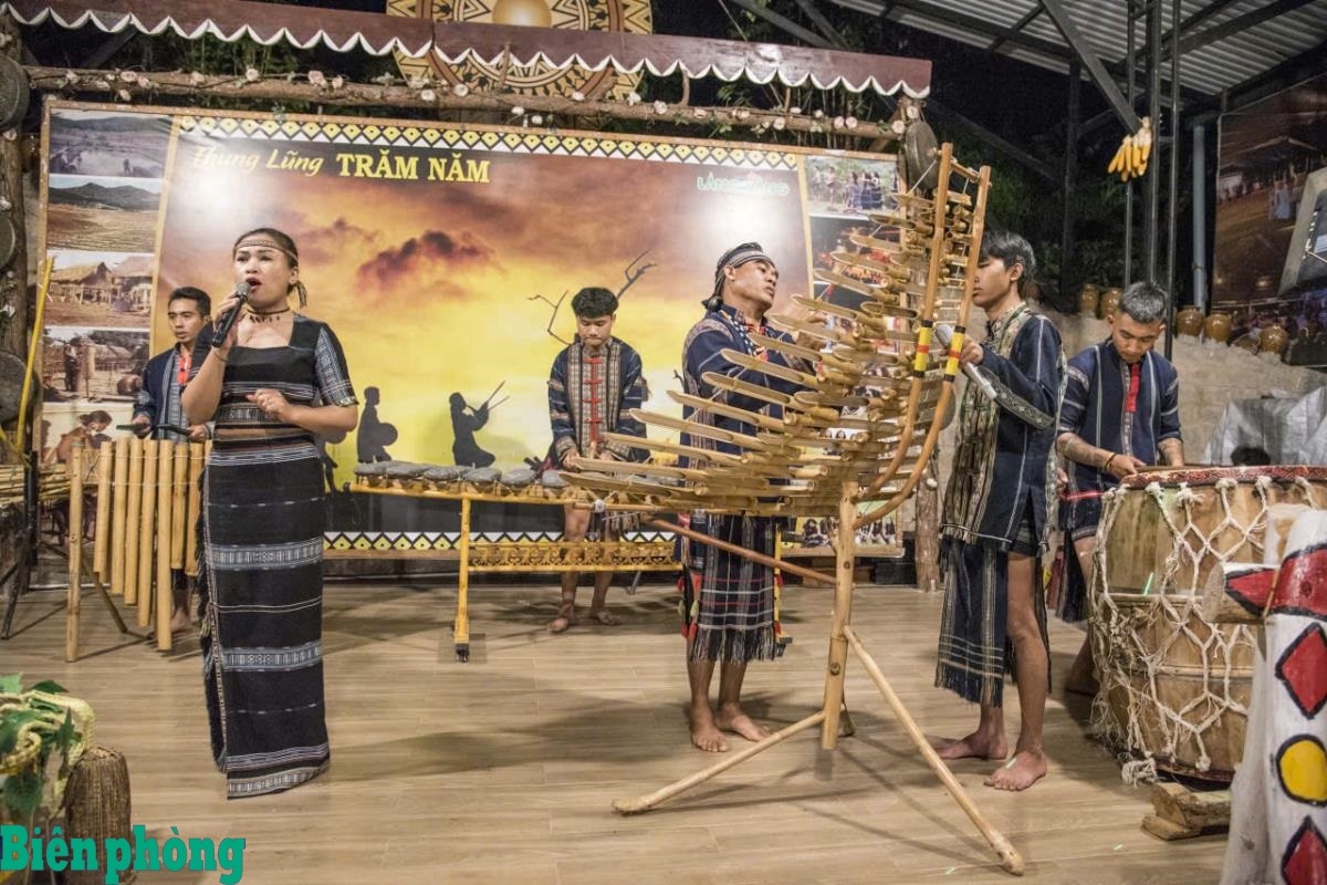 
Rùp ai bơh tàm internet