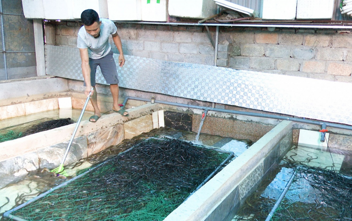 Raong lanung dalam danao ximang