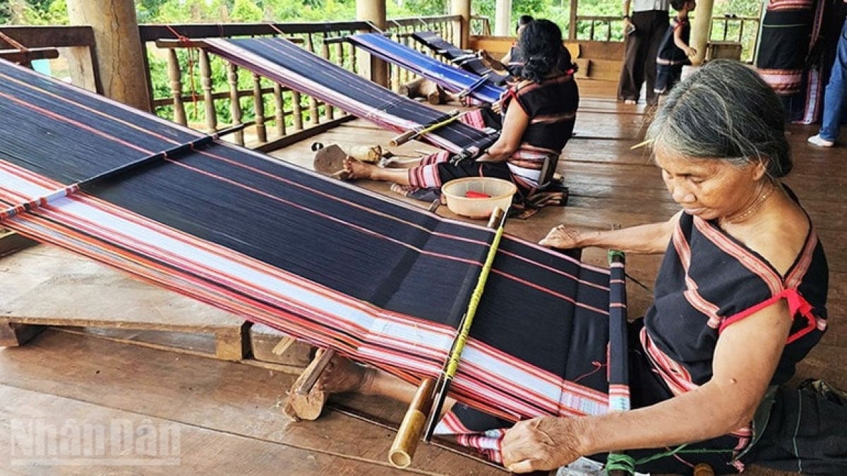 Rùp ai bơh tàm internet