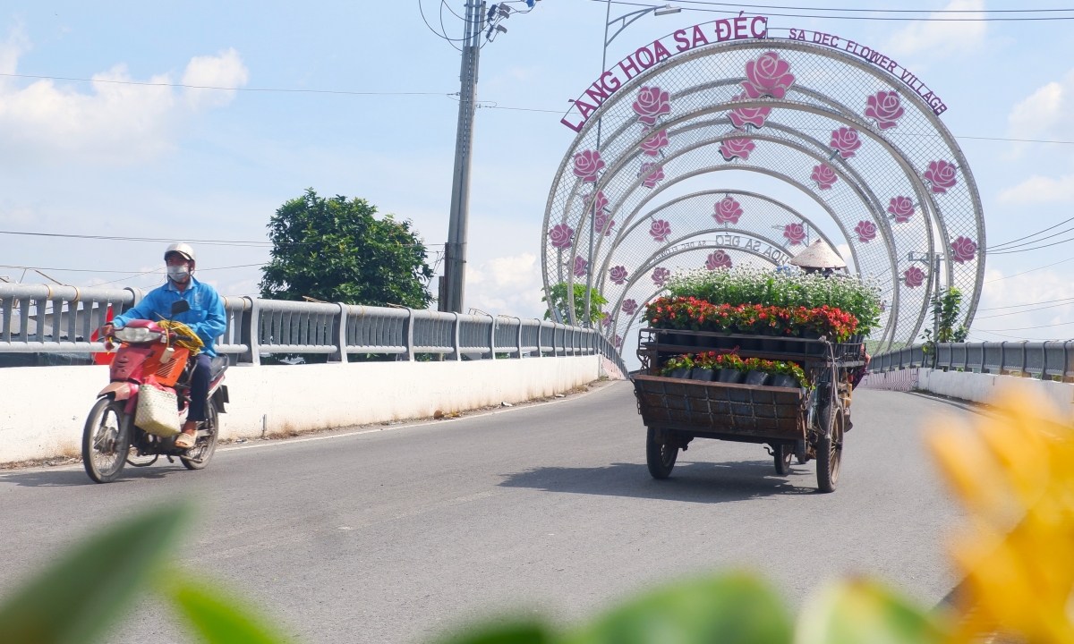 Làng hoa Sa Đéc