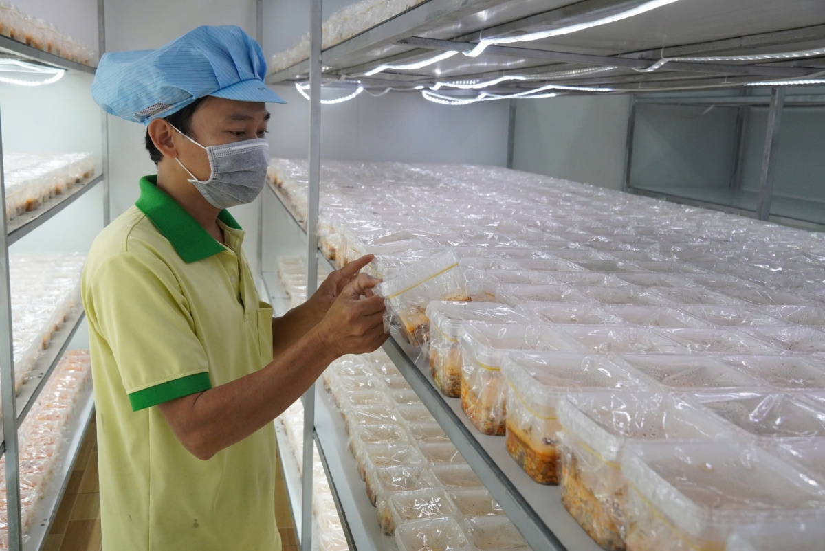 Phòng nuôi trồng được bố trí khu vực riêng biệt, đánh dấu thời gian để theo dõi (ảnh: Vũ Hường)