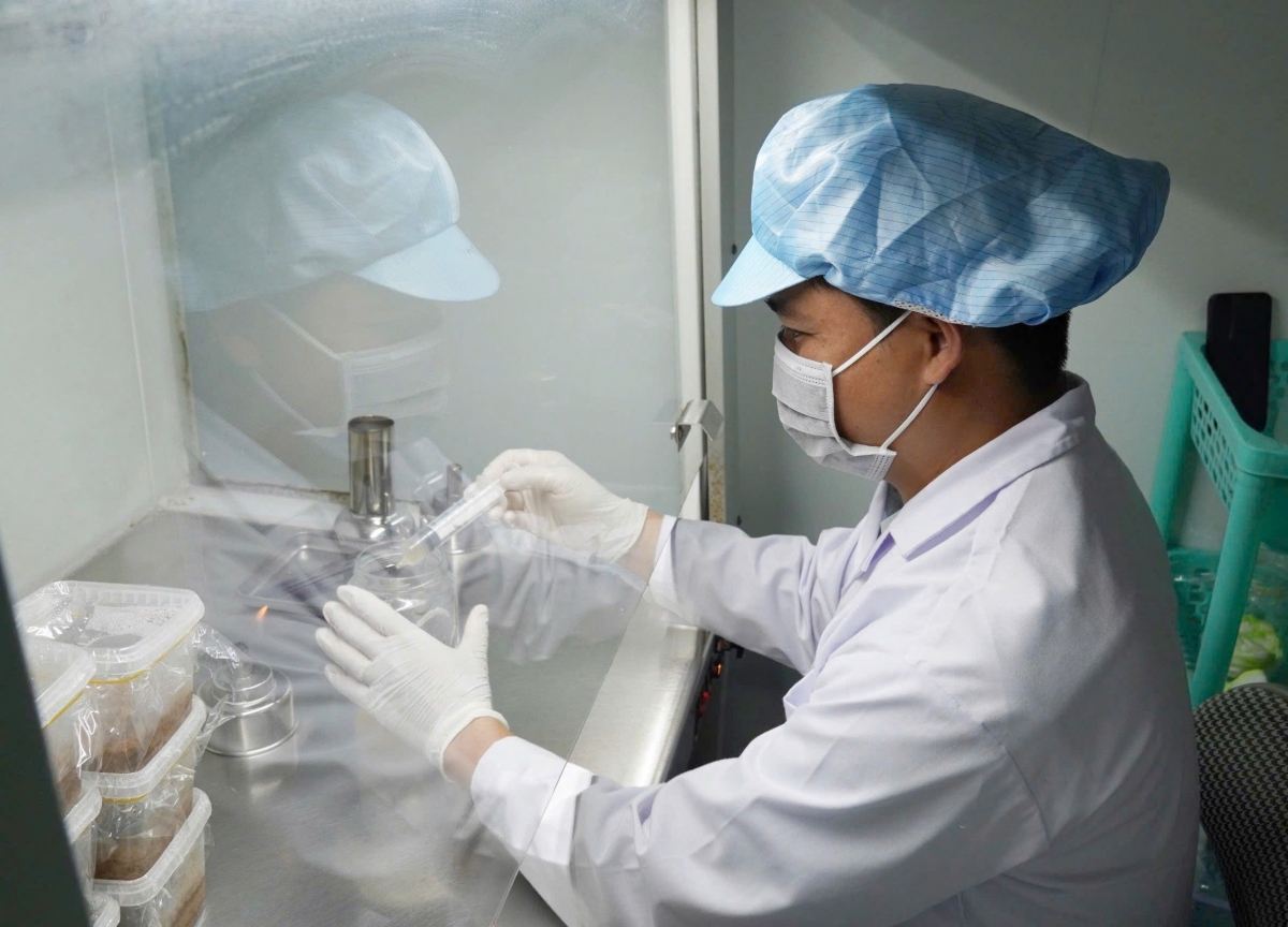 Anh Trần Tài trong khu vực cấy nấm được bố trí riêng biệt (ảnh: Vũ Hường)