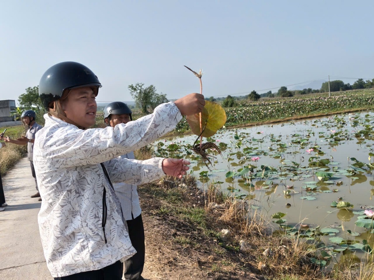 
Lơ kon pơlei tơring anai năm tơmang lăng, hŏk pơrăm jang kiơ̆. 