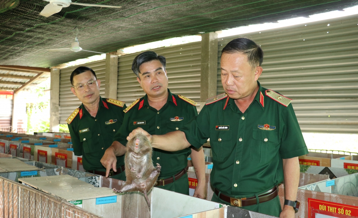 Thiếu tướng Nguyễn Quốc Hương - Phó Tư lệnh Quân khu 5 (bên phải) kiểm tra mô hình nuôi duối mốc tại Đoàn KT-QP 207