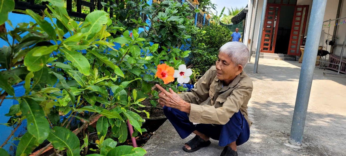 Sau những năm tháng cống hiến cho cách mạng, bà Lê Thị Hiếu Tâm về gắn bó với quê hương, xây dựng xóm làng ngày càng phát triển