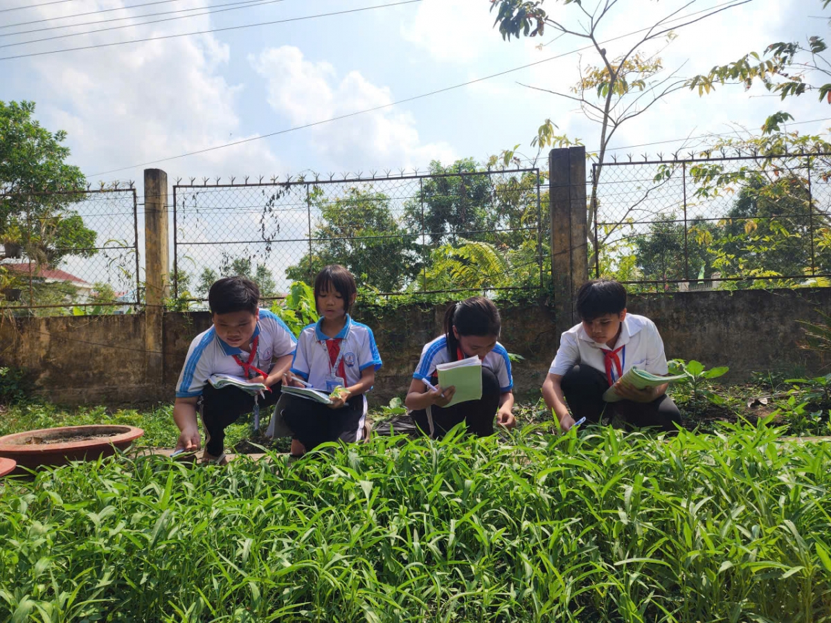 Qua kiến thức học được từ sách các em áp dụng vào sản xuất