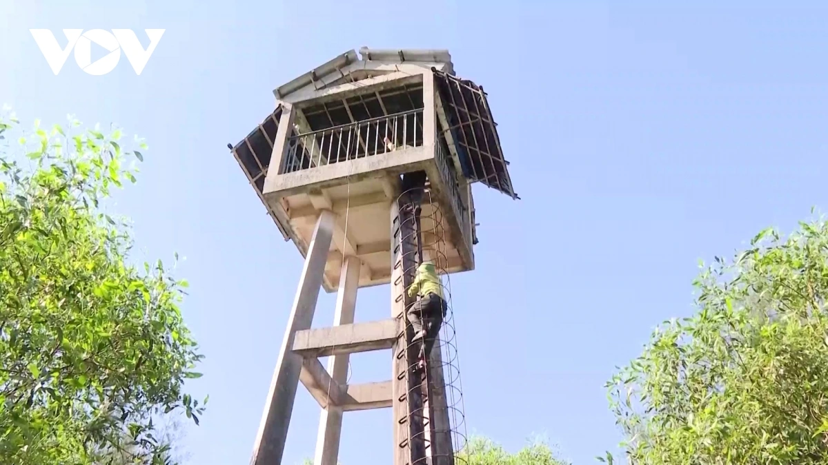 Những chòi canh giúp lực lượng bảo vệ rừng giám sát bảo vệ rừng, kịp thời phát hiện các vụ cháy rừng