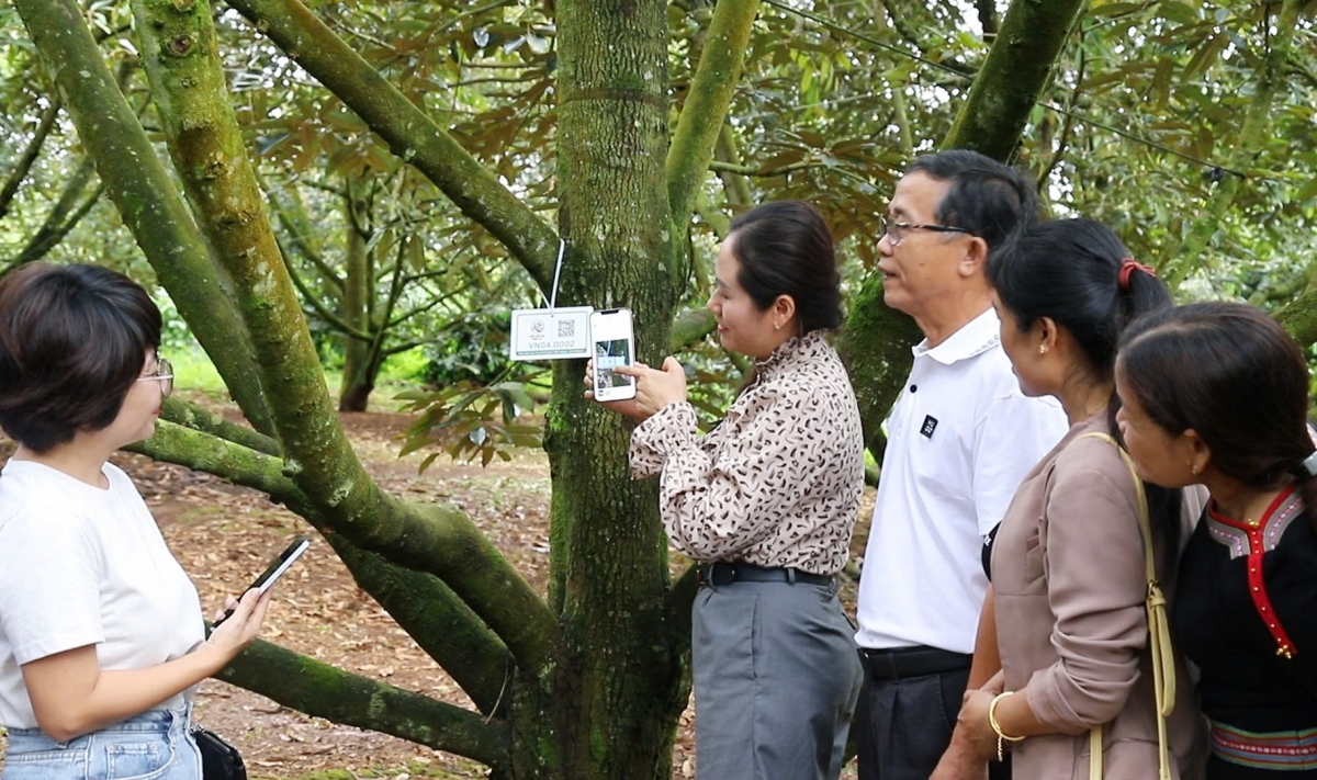 Plang ĕp ƀuh anih pla hơmâo lăng jing tơlơi pơplih mơ̆ng wai lăng tui đưm hơdai wai lăng hăng mrô