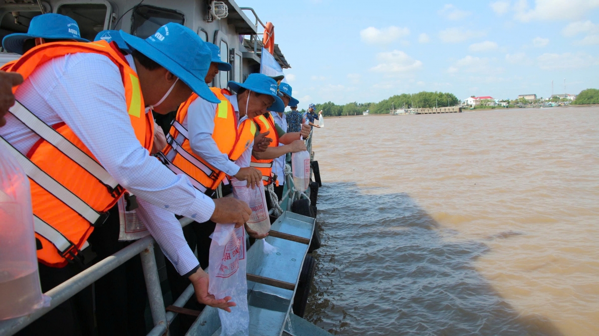TP Cần Thơ tổ chức thả 3 triệu tôm giống ra môi trường tự nhiên