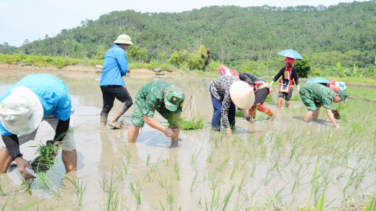 Cán bộ xã Hoành Mô cùng lực lượng Bộ đội Biên phòng trực tiếp xuống địa bàn hỗ trợ đồng bào. Ảnh: Báo Quảng Ninh
