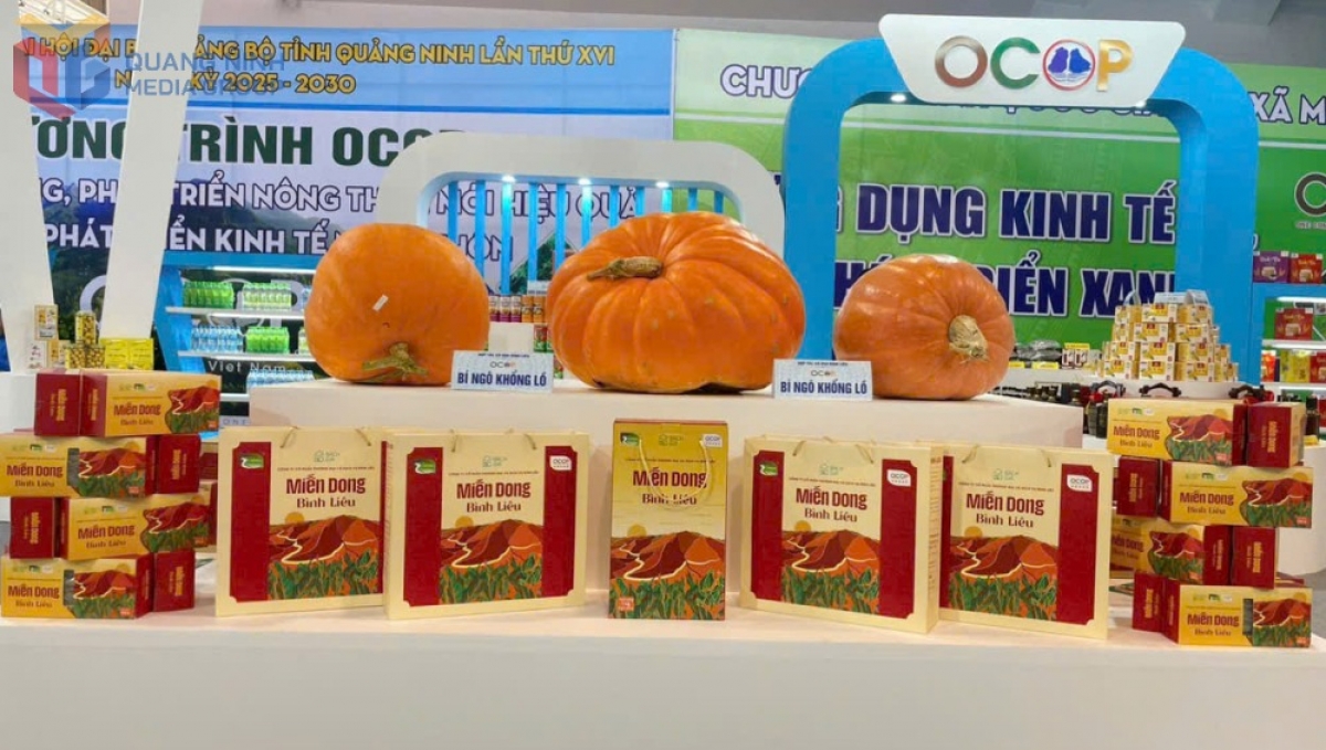 Sản phẩm bí ngô khổng lồ của xã Hoành Mô giới thiệu tại Đại hội Đảng bộ tỉnh Quảng Ninh lần thứ XVI, nhiệm kỳ 2025-2030. Ảnh: Báo Quảng Ninh