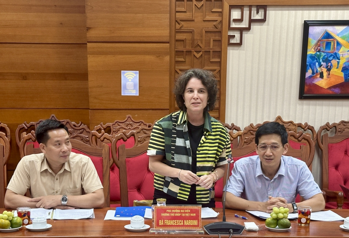 
Yă Francesca Nardini, Phŏ Kơdră tang măt ăn UNDP tơ̆ Việt Nam pơma ah jơ pơm jang