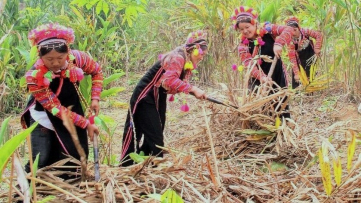 Việc ban hành Nghị quyết sẽ giúp đồng bào La Hủ và Mảng có thêm điều kiện để phát triển bền vững