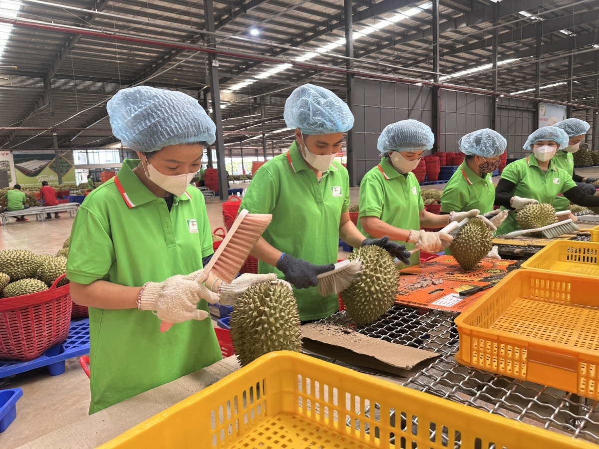 
Tơmam đơ̆ng choh jang sa, bri ‘long, ka hơdang Việt Nam tơjră hăm lơ tơdrong hơgăt tôch kơ hơlen đơ̆ng anih tĕch mơdro Trung Quốc păng apŭng plĕnh teh