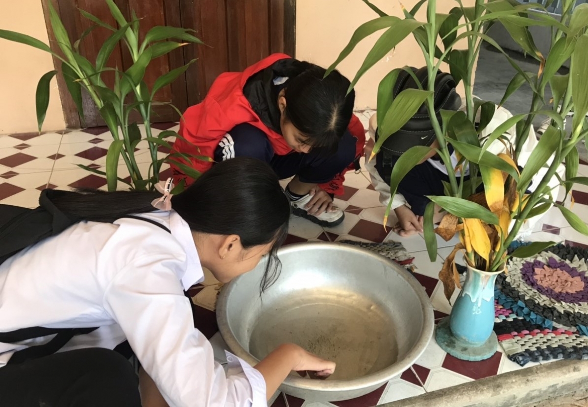 Ngành Y tế Khánh Hòa đẩy mạnh phong trào diệt lăng quăng, bọ gậy để phòng ngừa sốt xuất huyết.