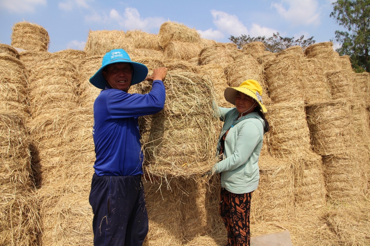 Ong Mười Sự gam haong diuk di drei taphia dom papaok pong nerang bahrau pataom blei