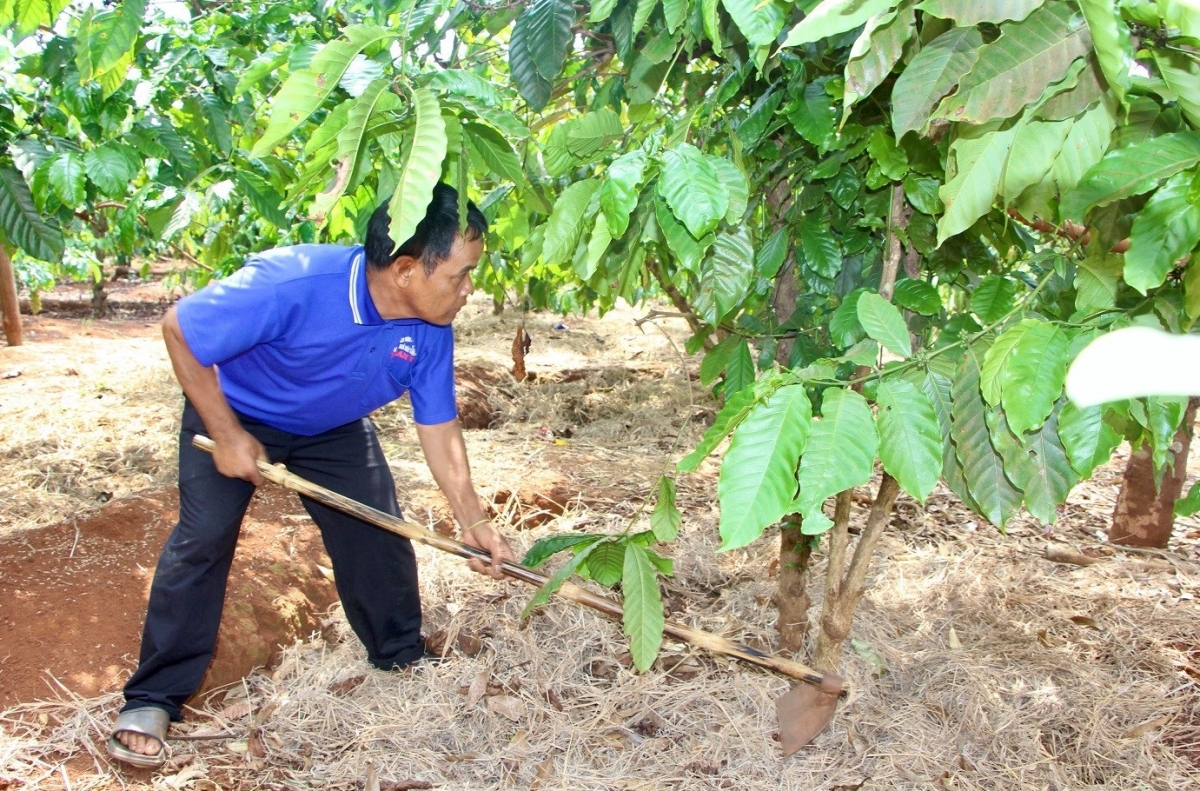 Ơi Rôr lui hĭ tui tơlơi đăo ča čot, pơjing tơlơi hơdip trơi pơđao