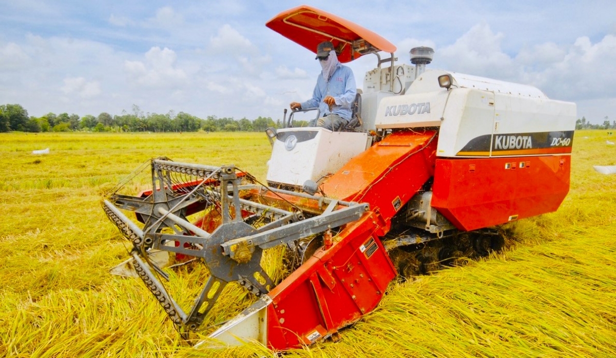 cơ giới hoá trong sản xuất lúa