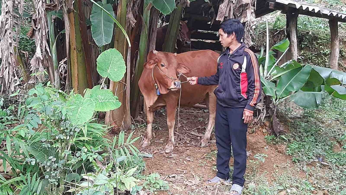 Đời sống của đồng bào vùng cao ngày càng ổn định nhờ nguồn vốn Chương trình mục tiêu quốc gia.
Ảnh: CTV Triệu Thuần/VOV Đông Bắc