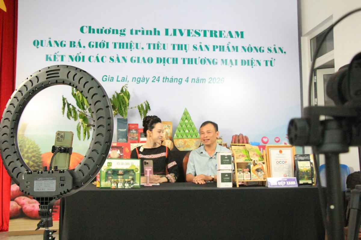 Pôa Nguyễn Đình Kha – Phŏ pơkuâ Khu ngăn kơmăi kơmok ƀă tê mơdró Gia Lai tung rôh po Megalive tê tơmeăm pêi ing chiâk deăng dêi kong pơlê