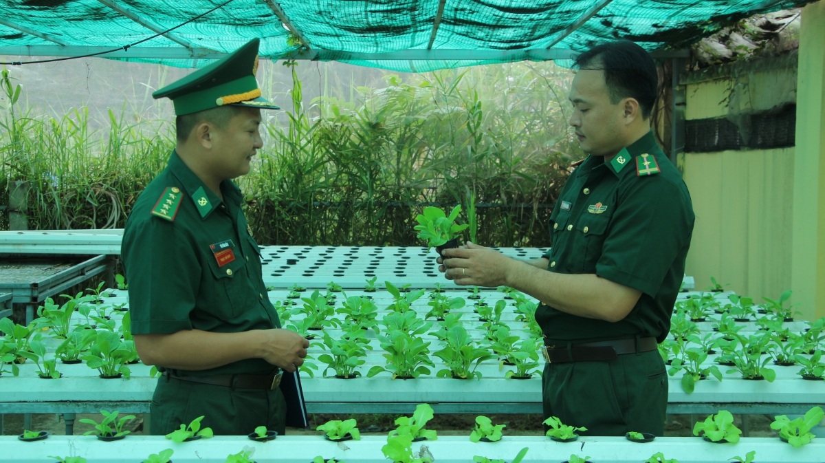 Cán bộ đơn vị thường xuyên kiểm tra sự phát triển của rau