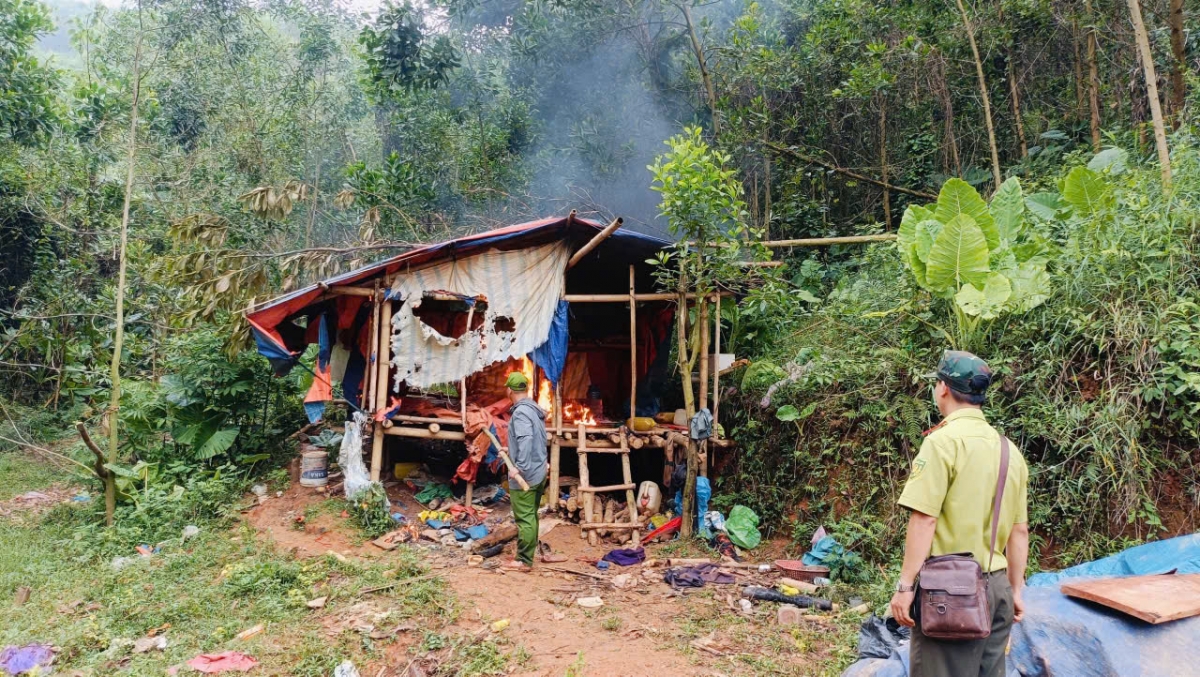 Lực lượng chức năng phá hủy lán trại khai thác vàng trái phép tại A Lưới 1, thành phố Huế