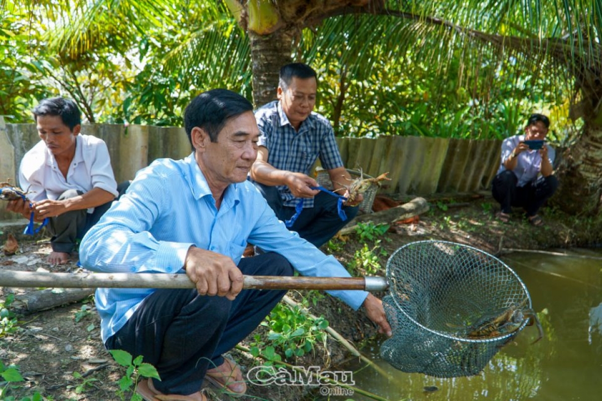 Mek laba di bhum taneh njom ia mbak