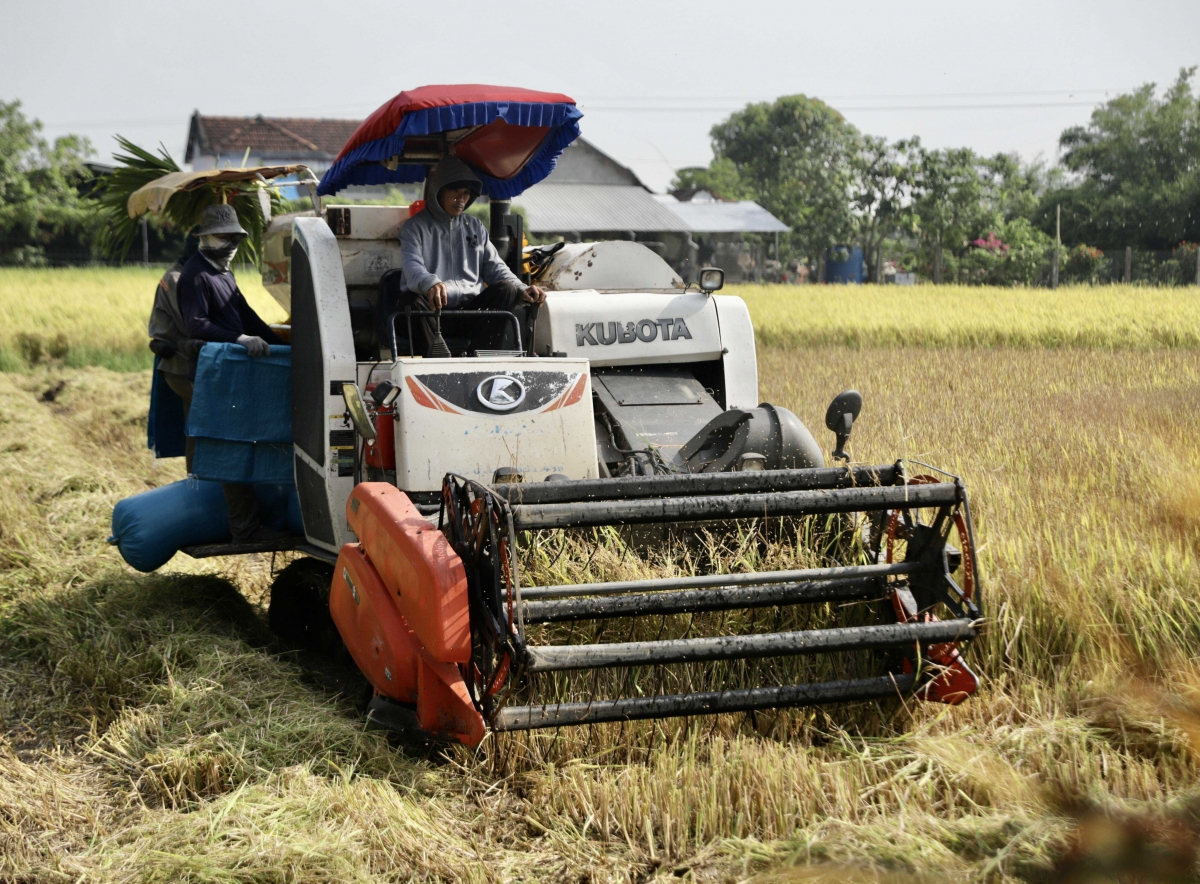 Ƀĭng ngă lŏ hma hơ̆k mơak bi wiă mdiê.