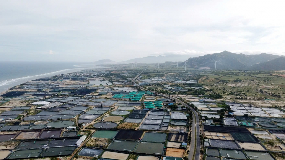 Ngế ki xúa tơnêi kơpong on tơhrik kơtâu ƀă trếo tik nik châ hên troăng hơlâ chêl thiê̆n, tŏng gum