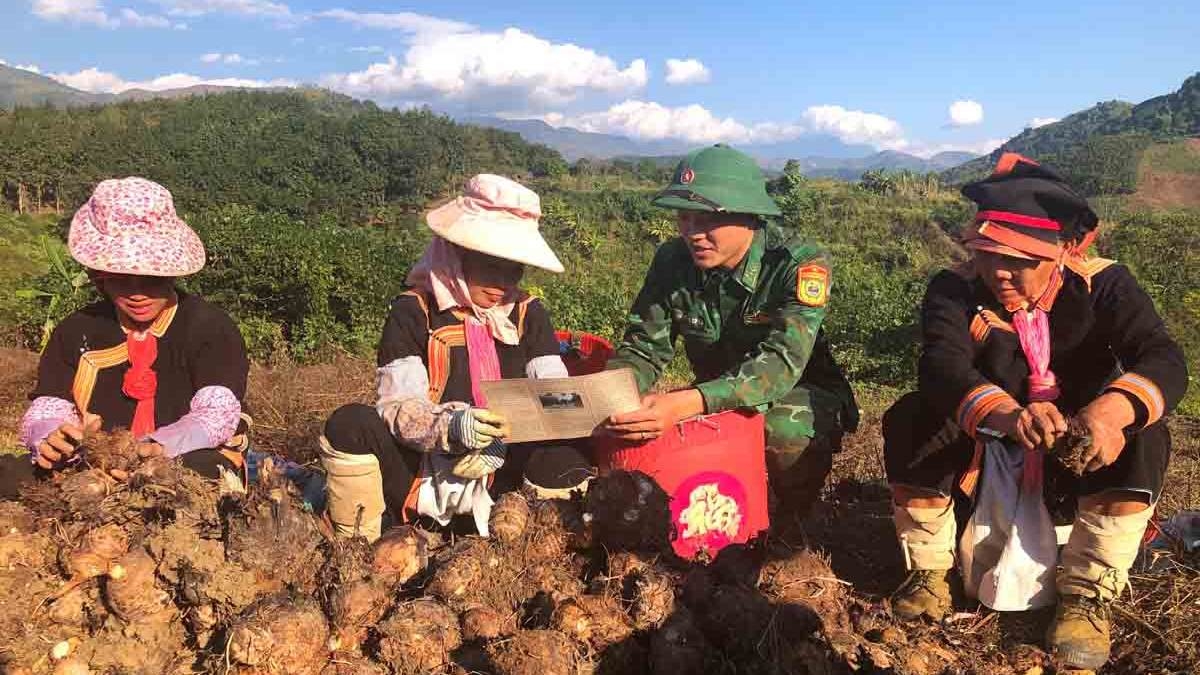 Nhờ chuyển đổi số, nông sản của bà con vùng cao Lai Châu đã có mặt ở nhiều miền quê trong cả nước.
Ảnh: Khắc Kiên/VOV Tây Bắc