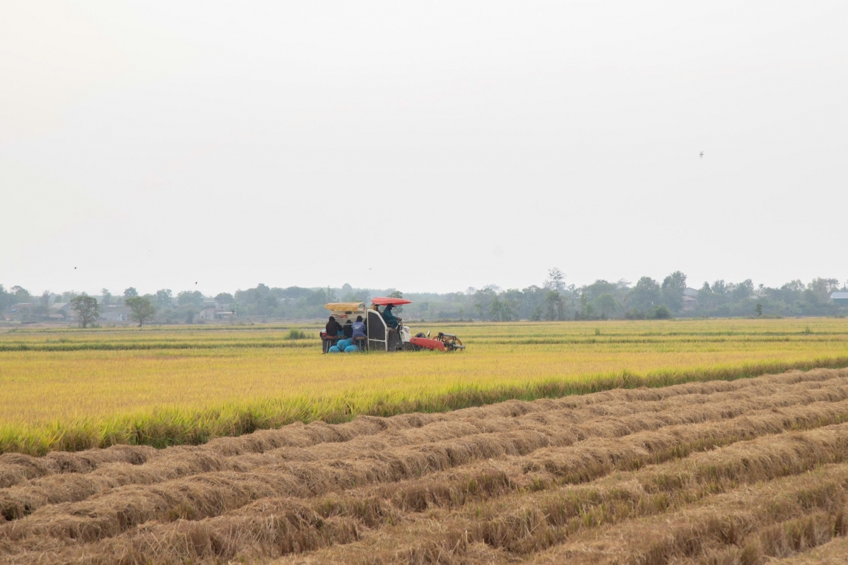 Tơring čar Dak Lăk hơmâo akŏ pơjing kual ngă pơdai ba sĭ