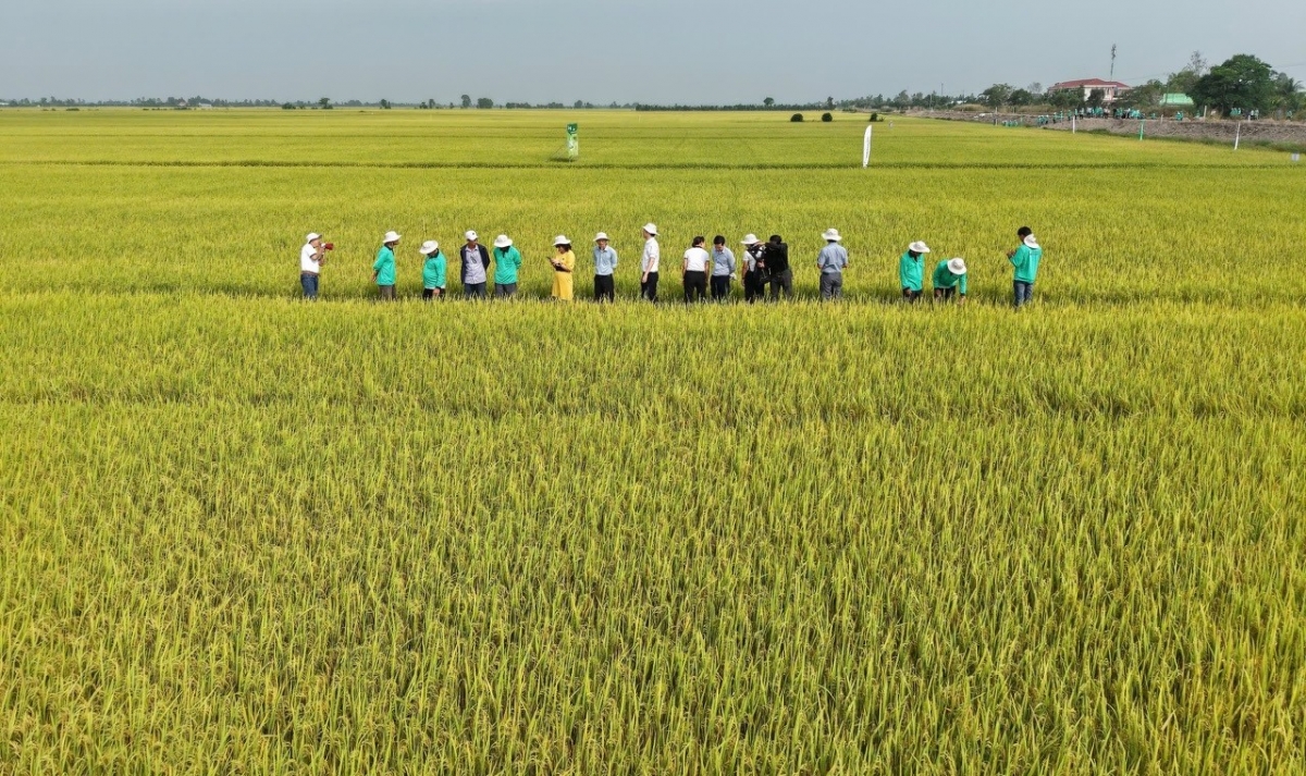 Nông nghiệp hướng tới phát triển bền vững và xanh