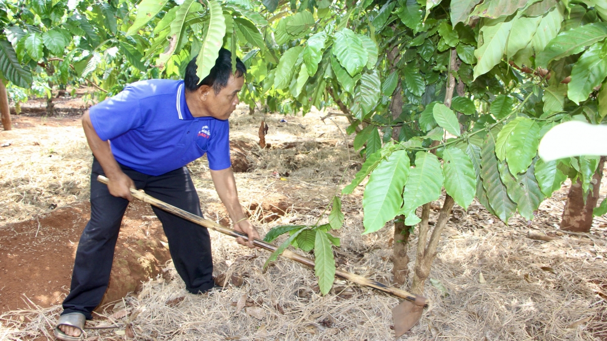 Ông Rôr đã từ bỏ tà đạo  "Ba Na Đega Kon Kông", tập trung phát triển kinh tế gia đình. (Ảnh: Nguyễn Thảo)