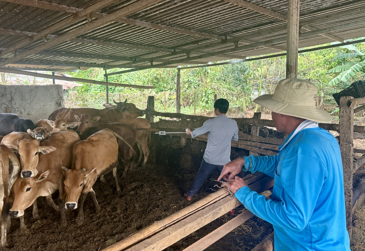 
Dêh char Đắk Lắk tŏk bŏk tơlĕch jang lơ trong jang tang găn hơmơt đei mơ̆t tơpoh đơ̆ng yŏng jĭ rơka ƀơ̆r tơplŏ kơchôp serotype SAT1