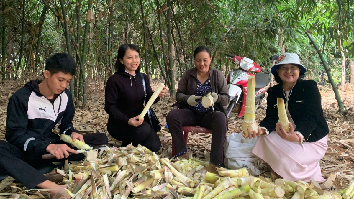 Tre dễ trồng, chi phí đầu tư thấp và có chu kỳ khai thác ngắn, mang lại nguồn thu thường xuyên, phù hợp với điều kiện sản xuất của người dân vùng khó khăn.