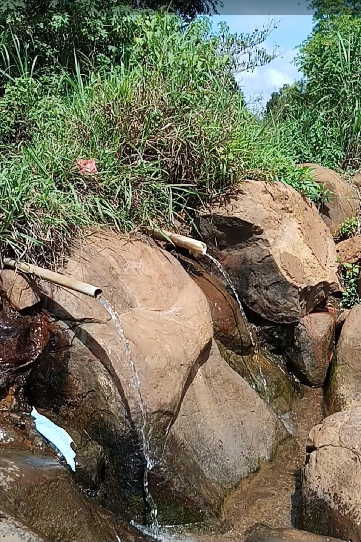 Kơno têa pơlê cheăm dêi hdrông Rơđế