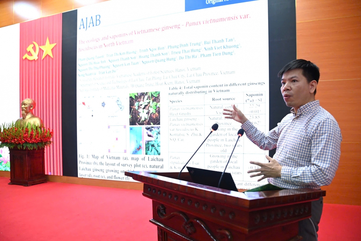 TS Phạm Quang Tuyến - Viện khoa học Lâm nghiệp Việt Nam hướng dẫn kỹ thuật trồng sâm (Ảnh: Đức Duẩn)