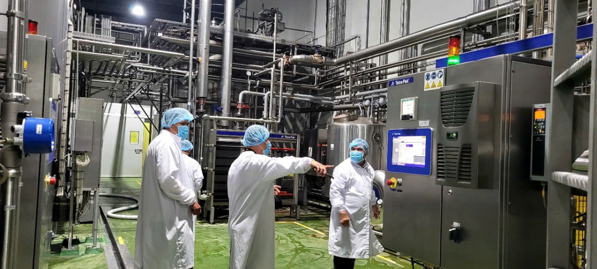 Đồng Tháp cần các nhà máy chế biến trái cây xuất khẩu đạt chuẩn - Ảnh: Chu Trinh/VOV ĐBSCL