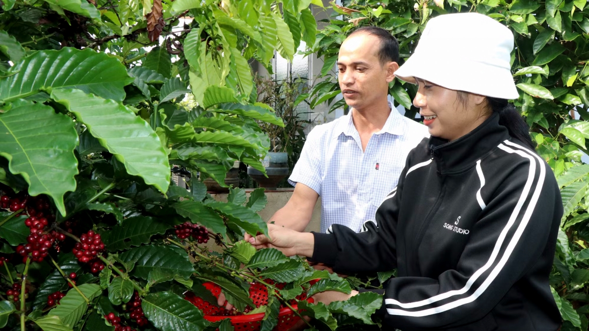 "Nói cho dân hiểu, làm để dân tin" là cách những đảng viên, người có uy tín ở Đắk Lắk vẫn đang làm để giữ niềm tin ở các buôn làng. Ảnh: H Xíu/VOV-Tây Nguyên