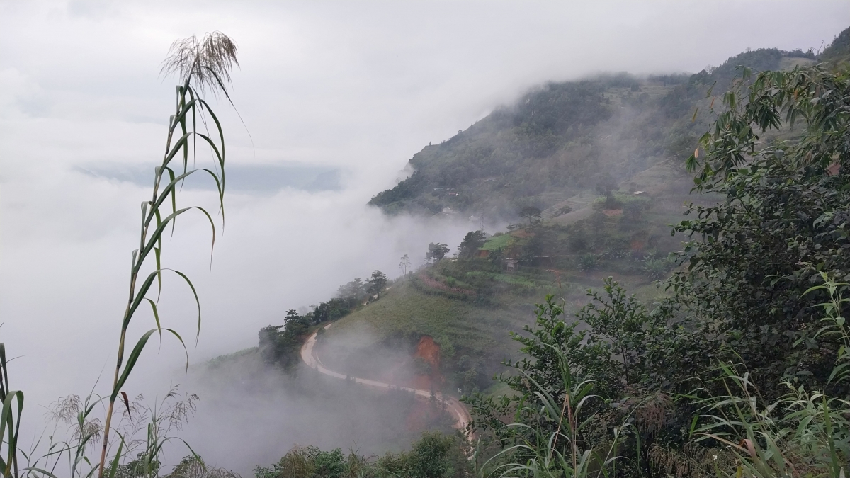 4000 ha rừng bao phủ khu vực xã Tân Trào, tỉnh Tuyên Quang  - Ảnh: Mạnh Phương.