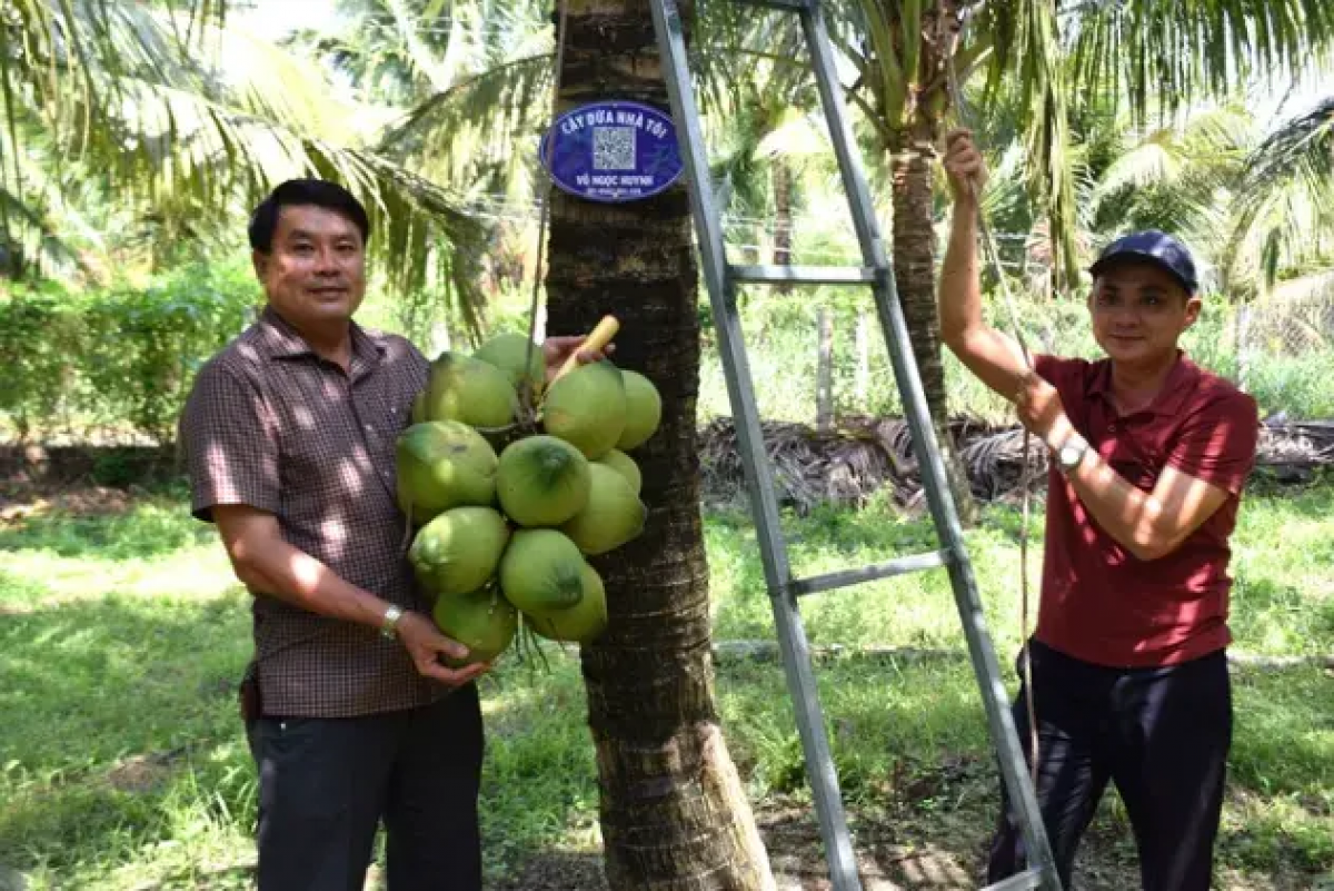 Rahra xa Hòa Hội raong phun li-u tui jalan huu co